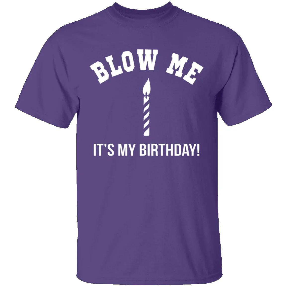 Blow Me It's My Birthday T-Shirt