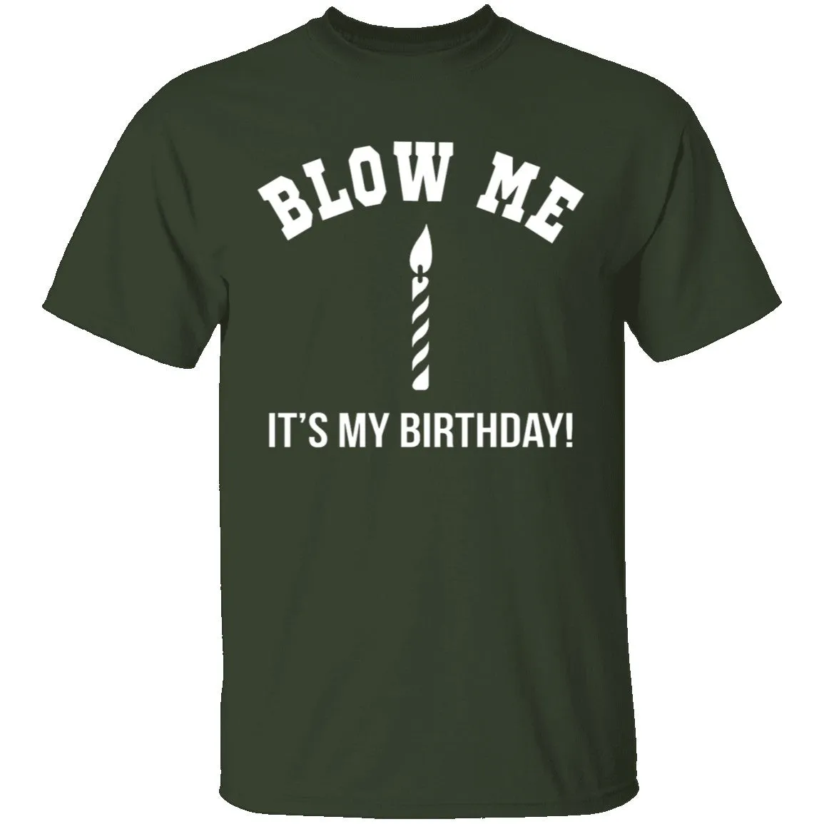 Blow Me It's My Birthday T-Shirt