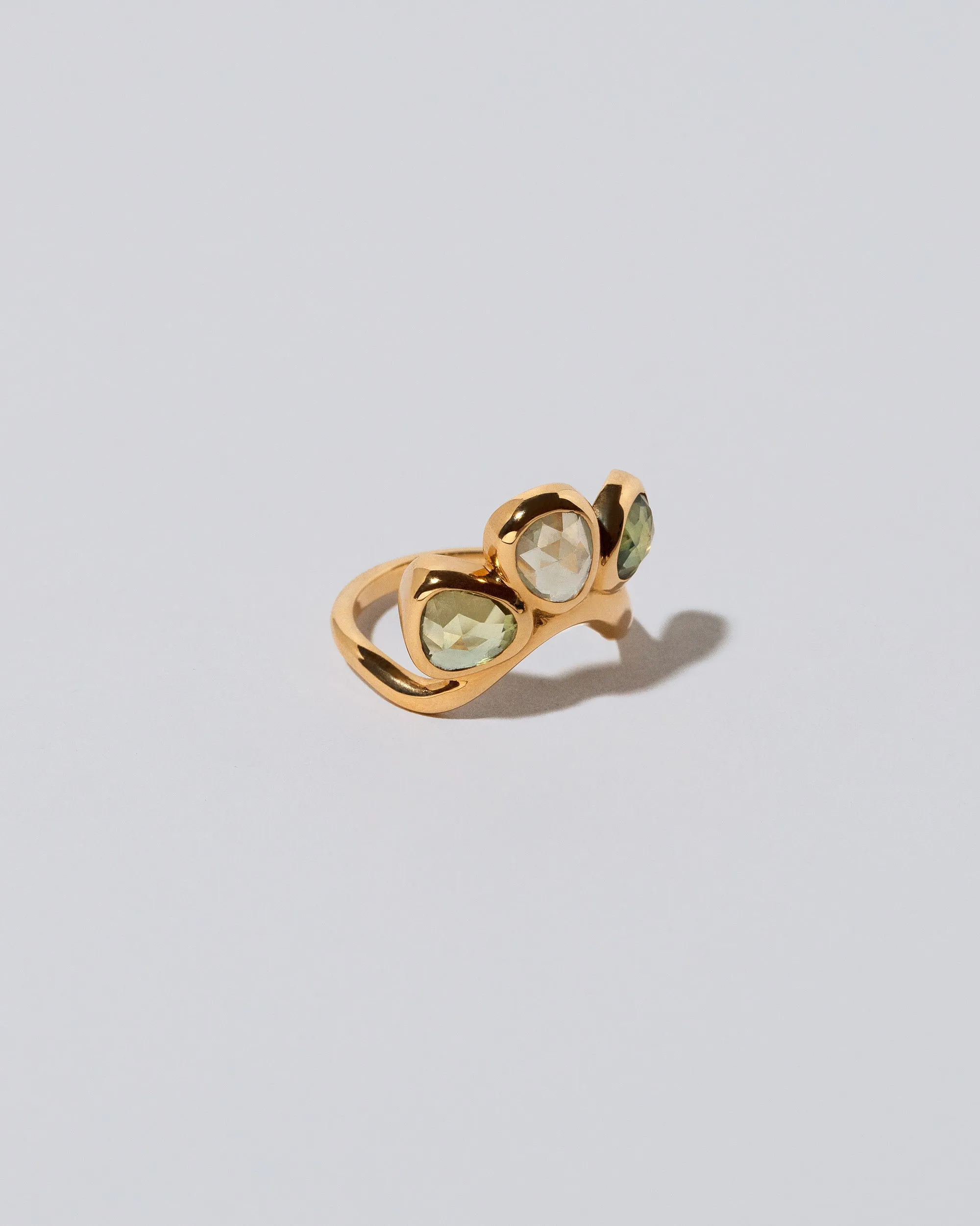 Future Life Ring