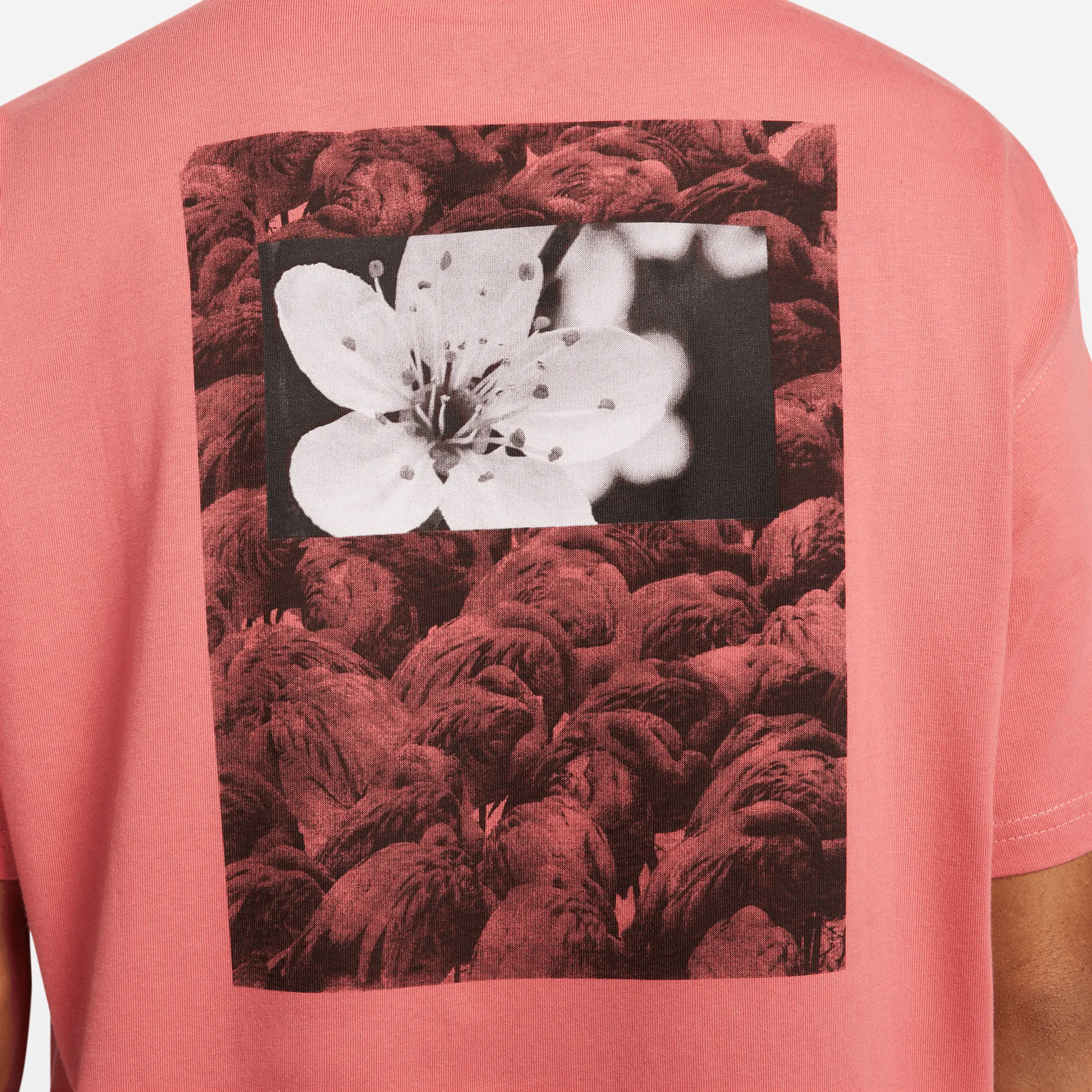 Nike SB Natural Borders Tee Adobe