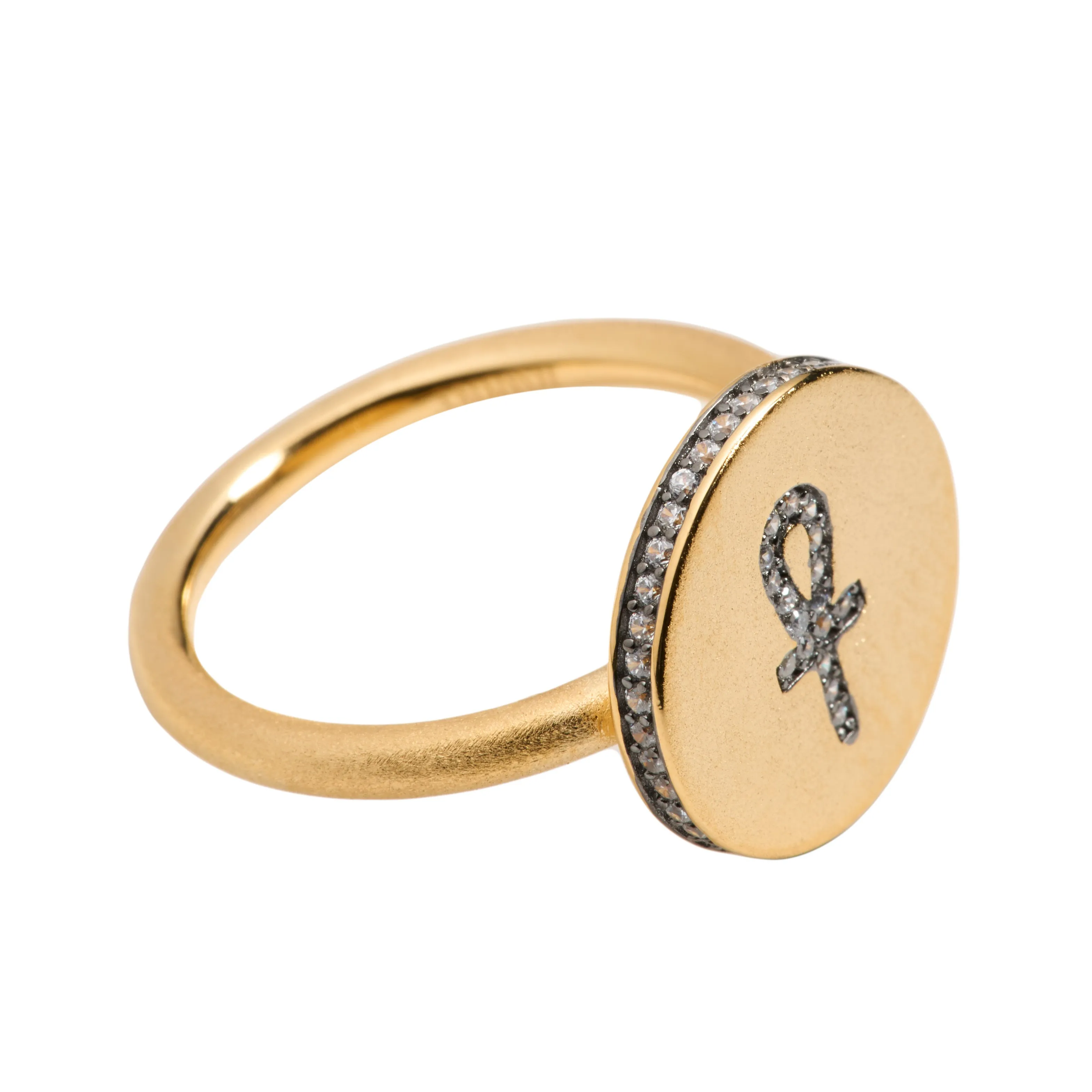 The Life Circle Ankh Ring in Vermeil Gold