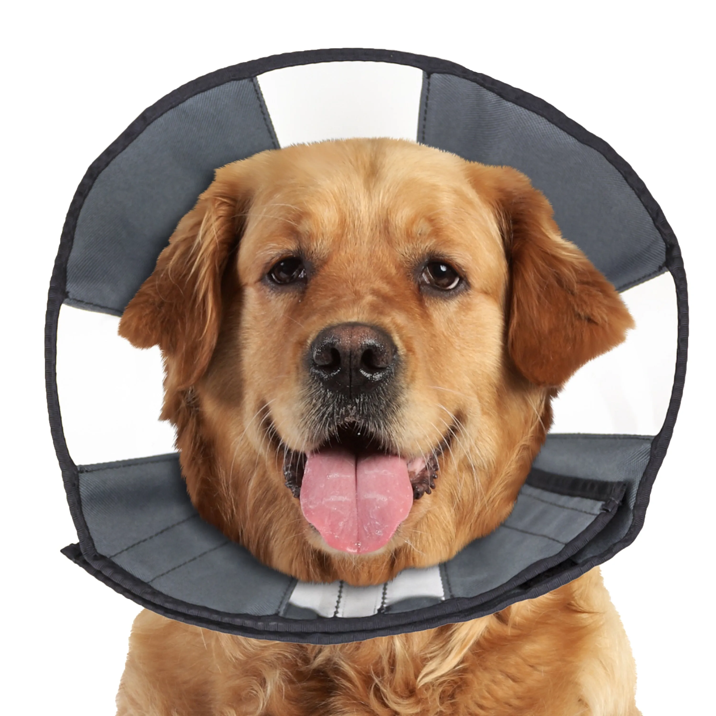 ZenPet ZenCone Original Soft Recovery Cone for Dogs