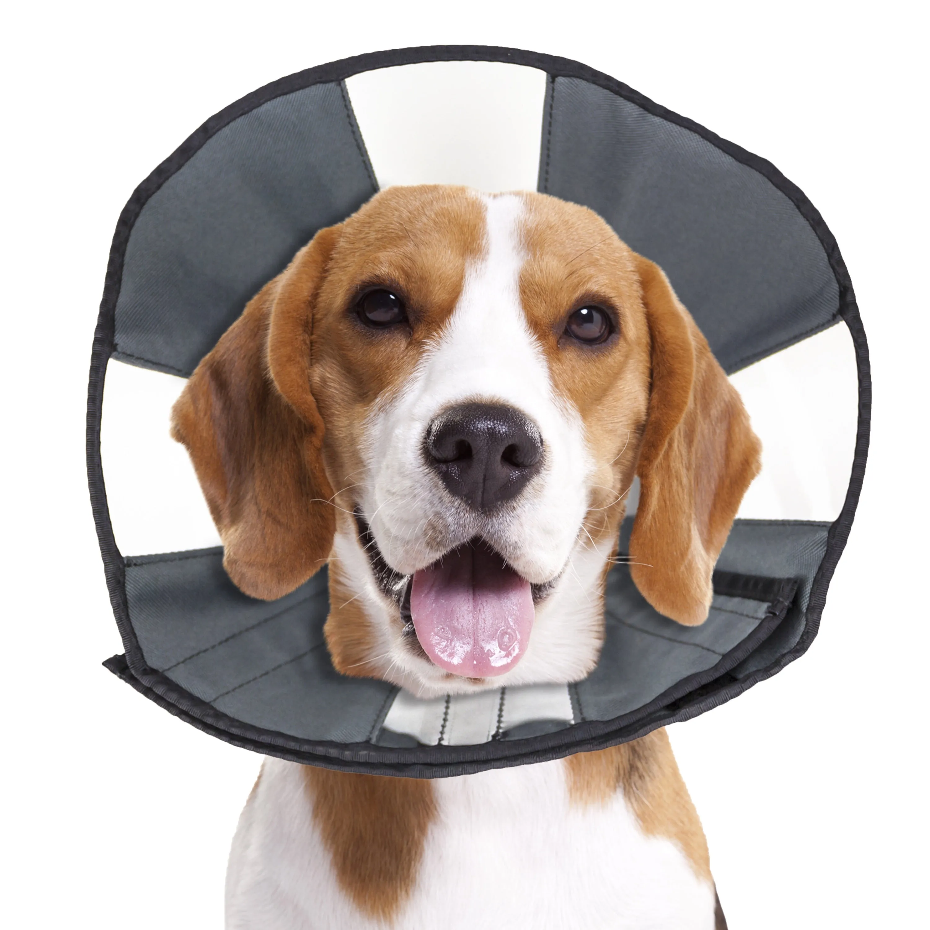 ZenPet ZenCone Original Soft Recovery Cone for Dogs