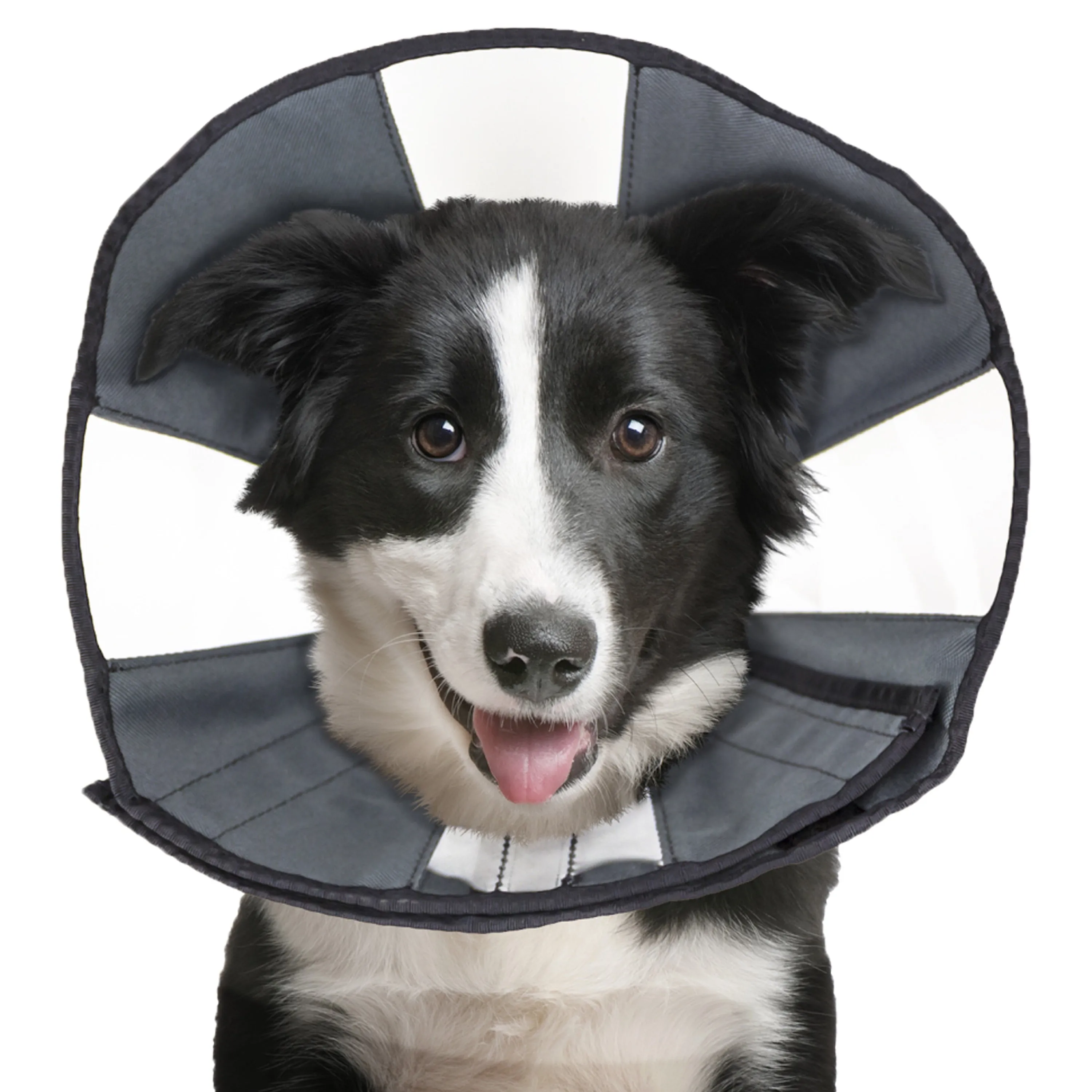 ZenPet ZenCone Original Soft Recovery Cone for Dogs